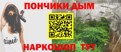 гидра Гагарин