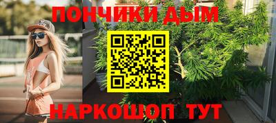 гидра Гагарин