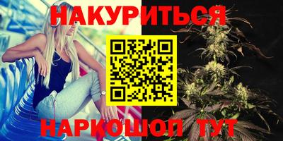 гидра Гагарин