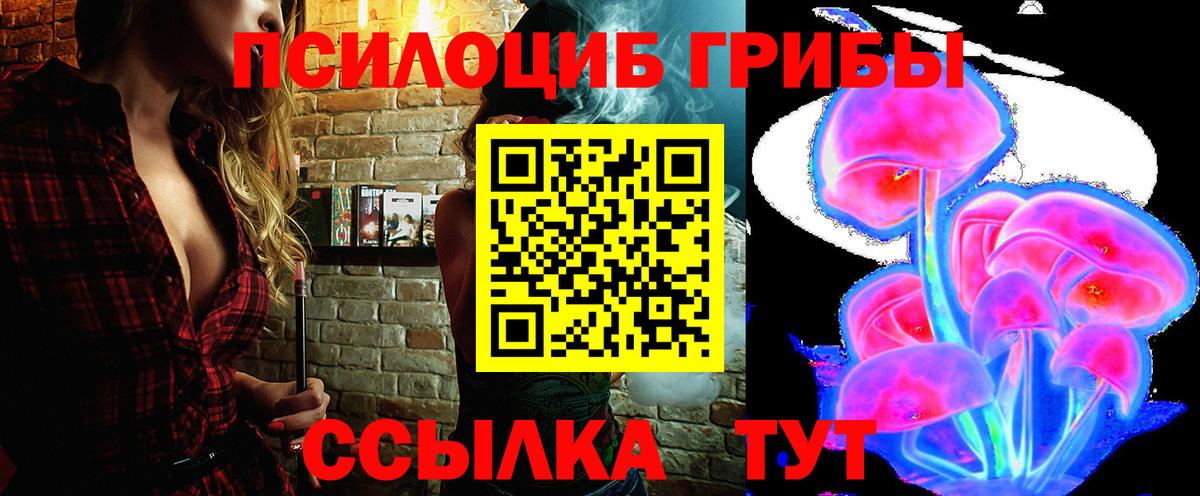 Кунгур  Псилоцибиновые грибы Cubensis  Вход с VPN  Галлюциногенные грибы GOLDEN TEACHER 